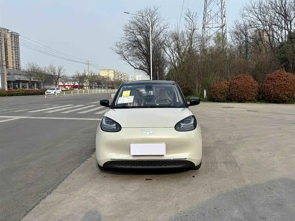 Wuling Binguo 2025 333km Enjoy