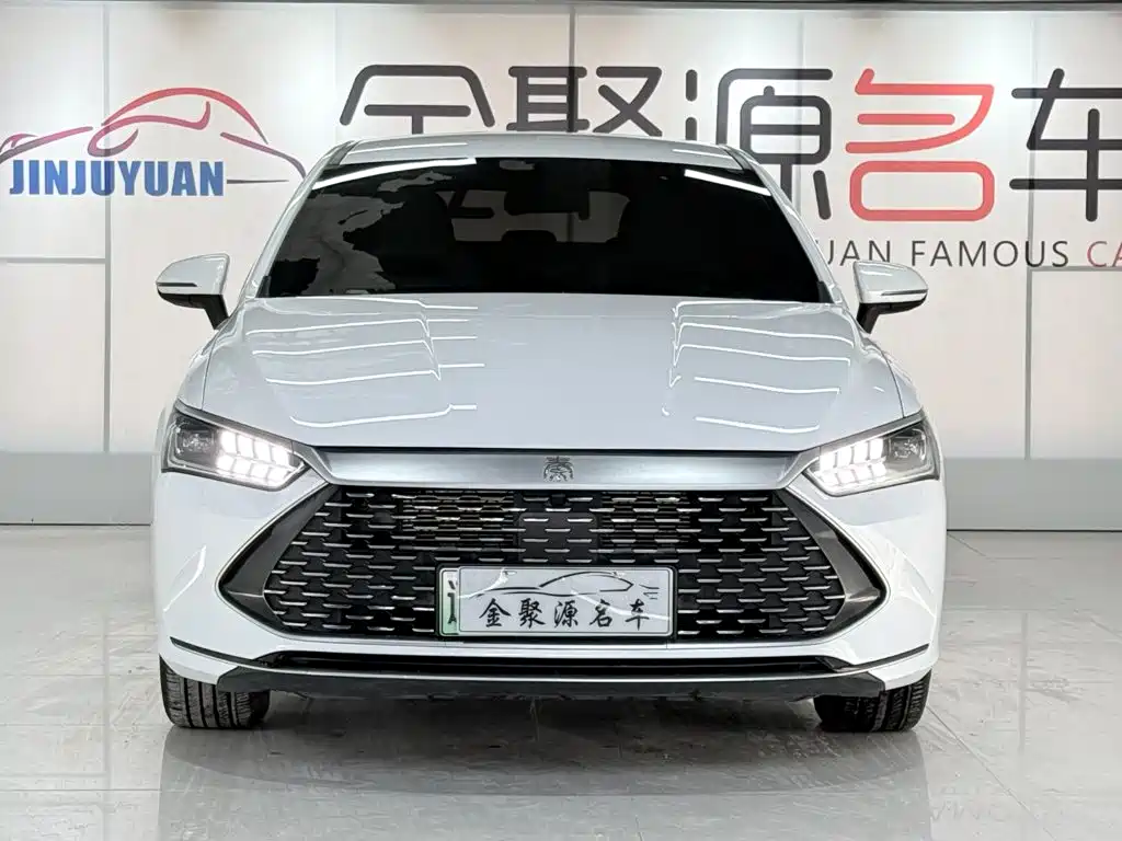 BYD Qin Plus 2024 — фото 2