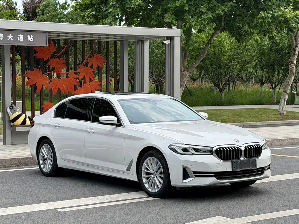 BMW 5 Series — миниатюра 3