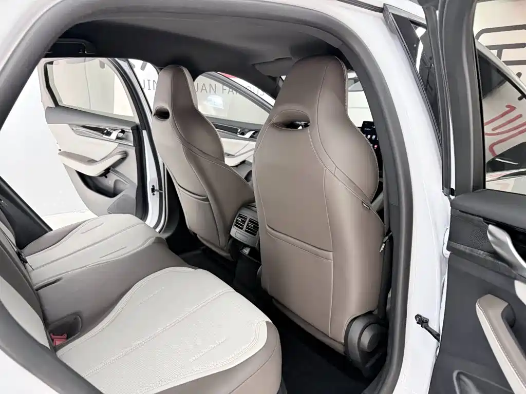 BYD Qin Plus 2024 — фото 15