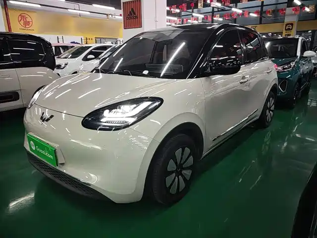 2024 Wuling Motors Binguo