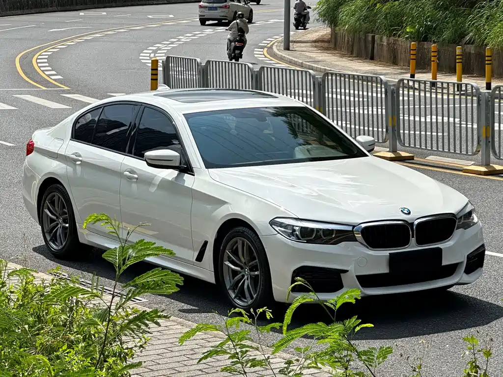 BMW 5 Series (Import) — миниатюра 3