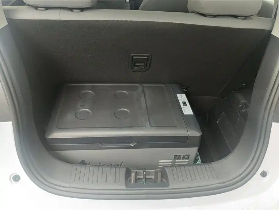 Leapmotor T03 2025 310