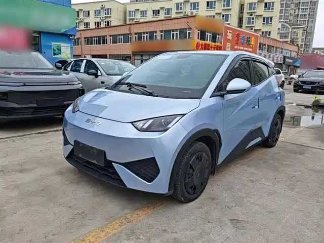 2025 BYD Seagull