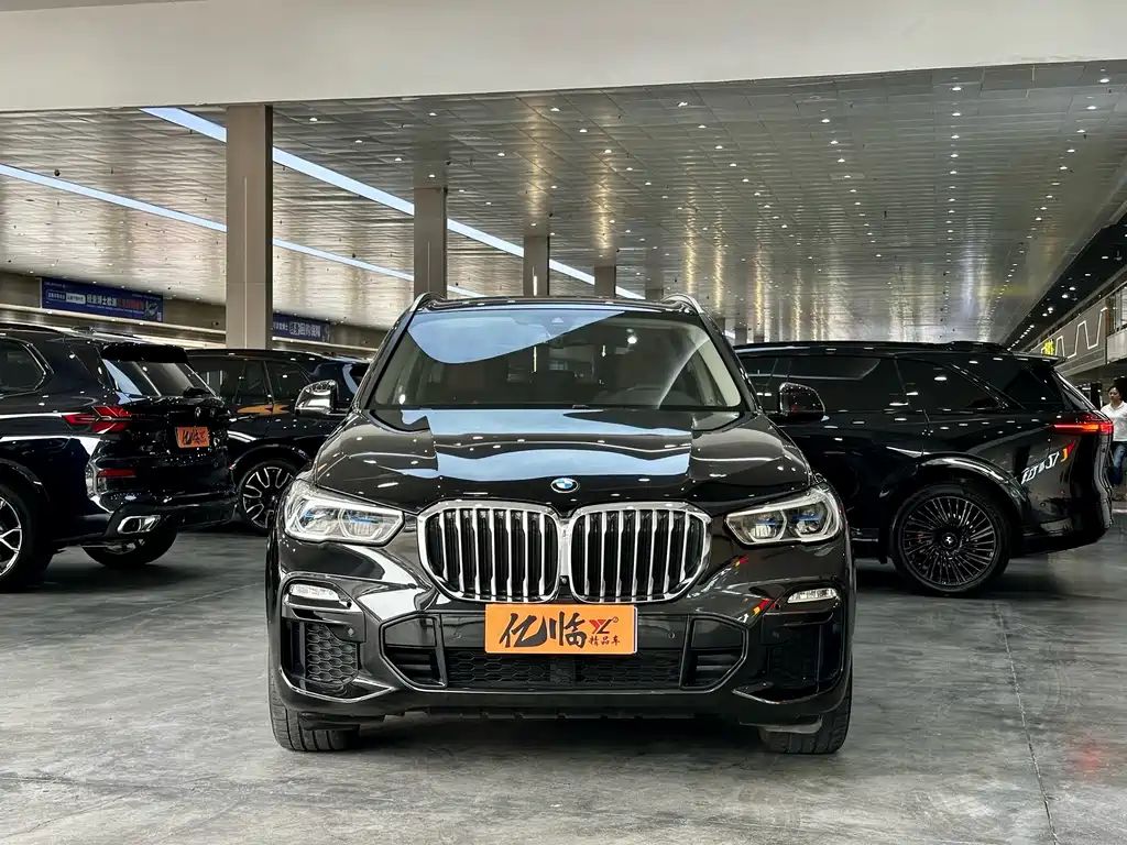 BMW X5 (Import) — миниатюра 2