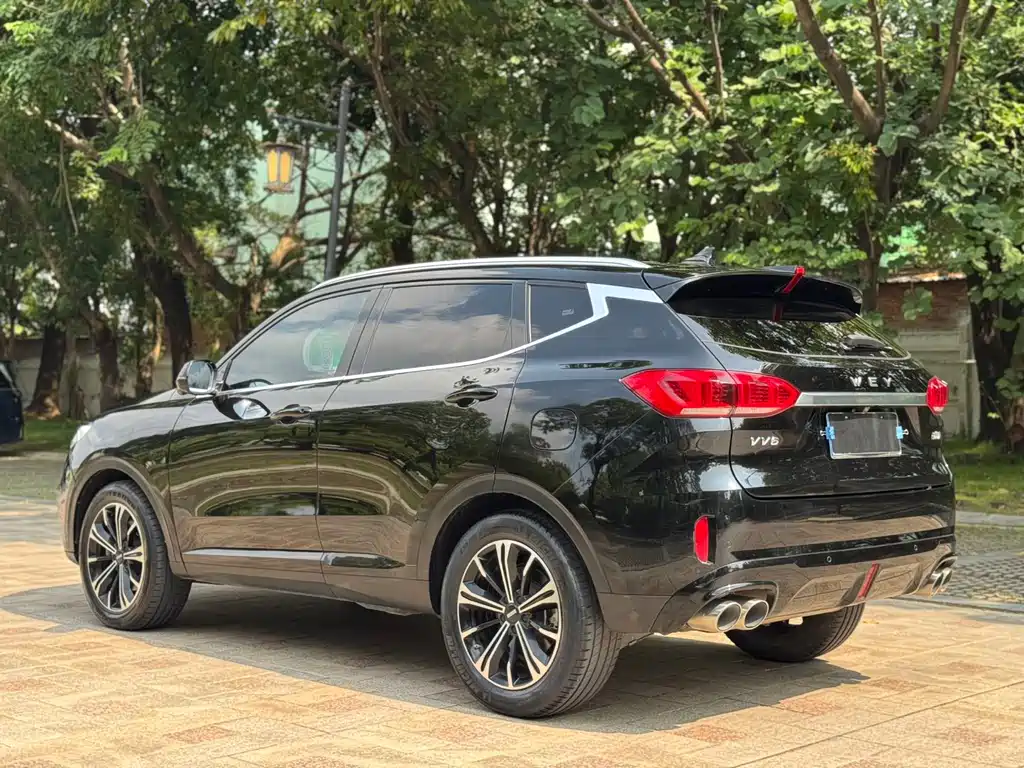Wey Wey VV6 — миниатюра 6