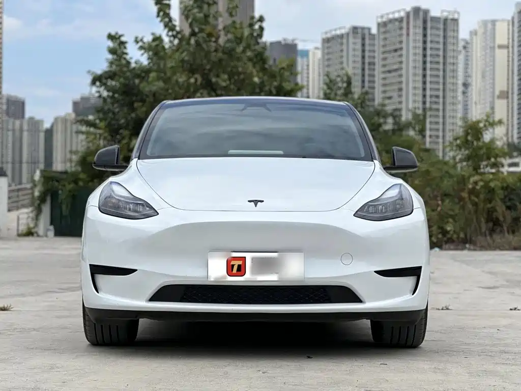 Tesla Model Y — миниатюра 3