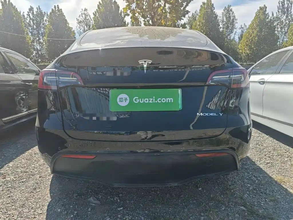 Tesla Model Y — миниатюра 6