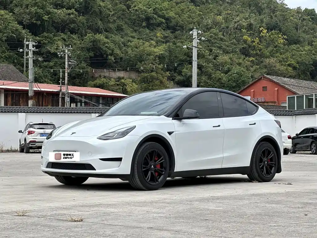 Tesla Model Y — миниатюра 2