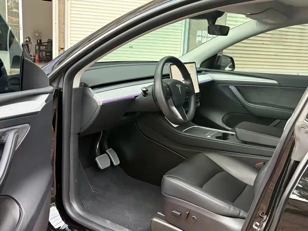 Tesla Model Y — миниатюра 4