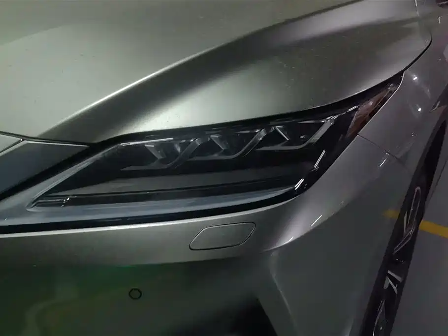 Lexus RX 2021 300