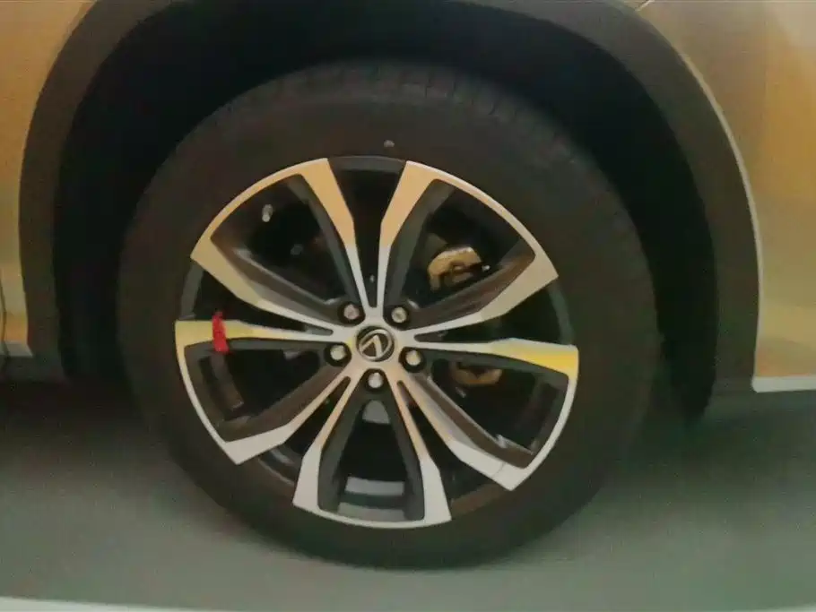 Lexus RX 2021 300