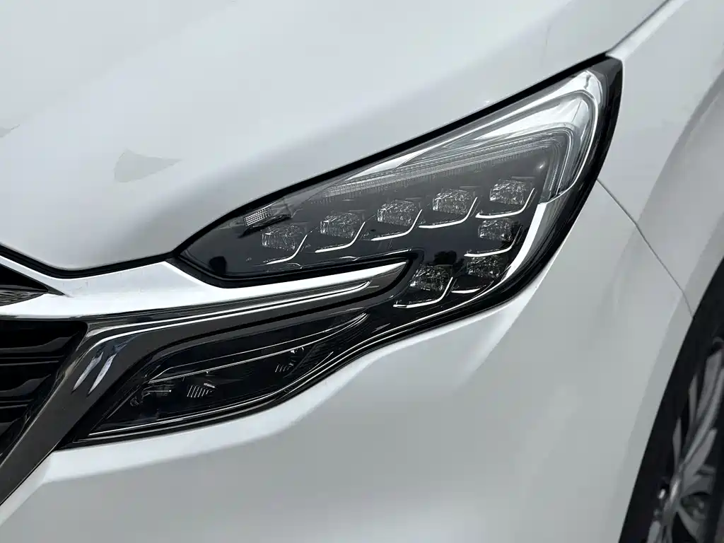 Buick GL8 — миниатюра 9
