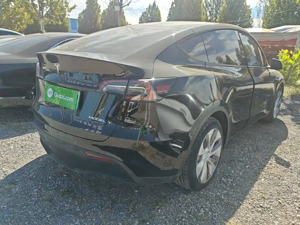 Tesla Model Y — миниатюра 7