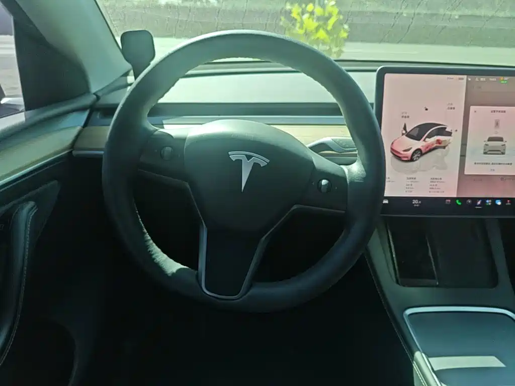 Tesla Model Y — миниатюра 11