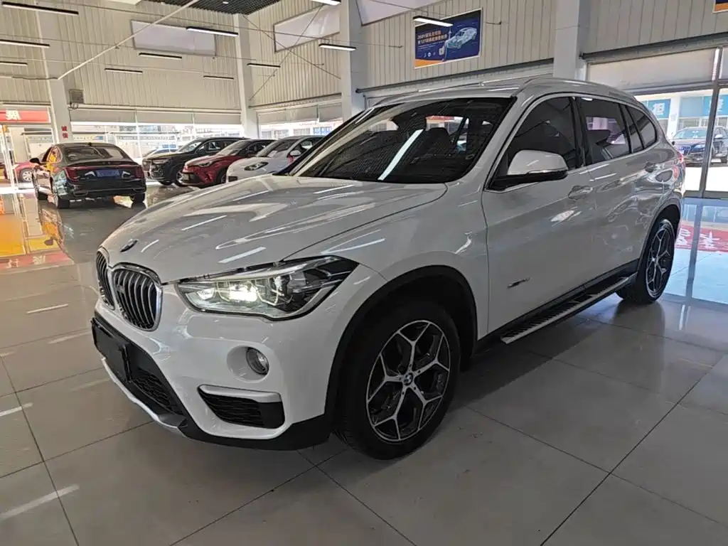 BMW X1 — миниатюра 2