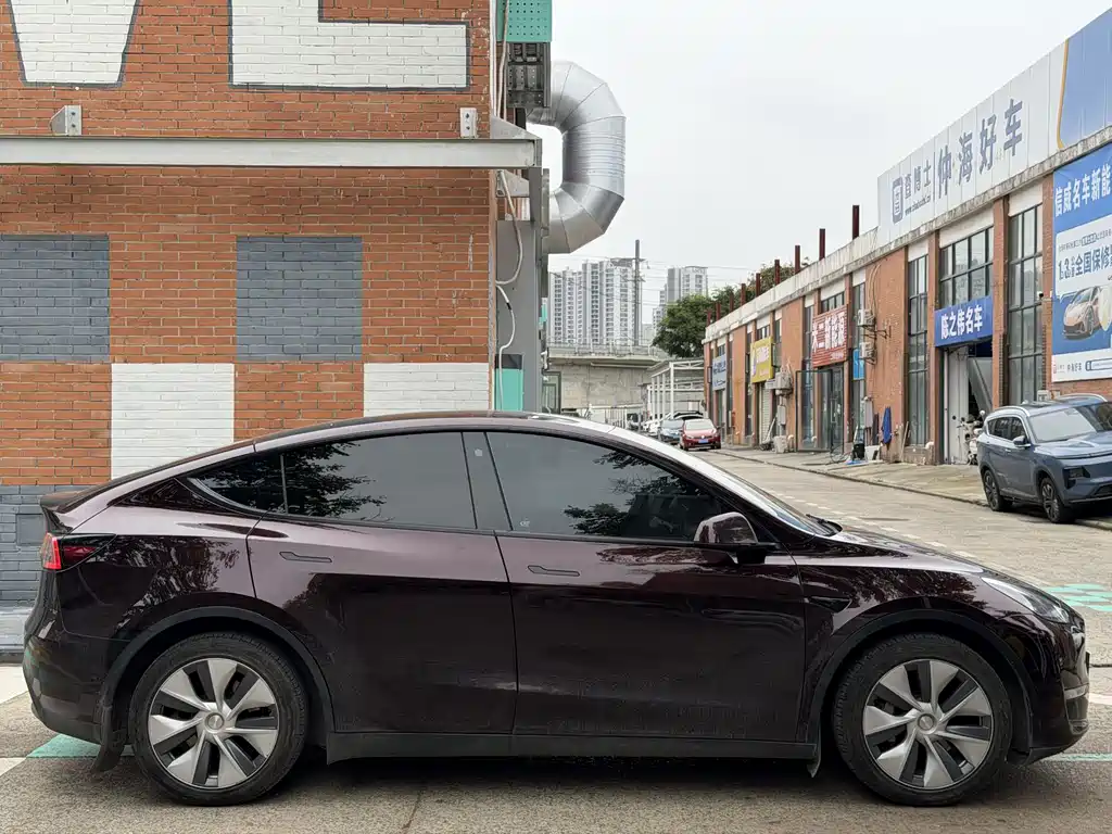 Tesla Model Y — миниатюра 7