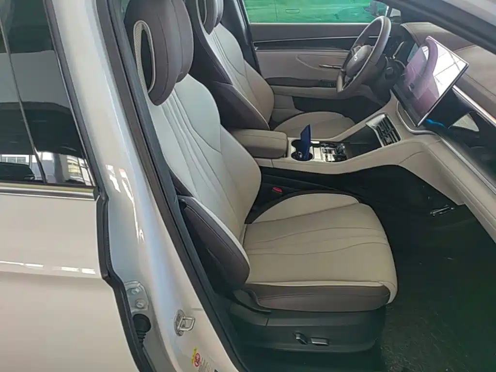BYD PLUS New Energy — миниатюра 25