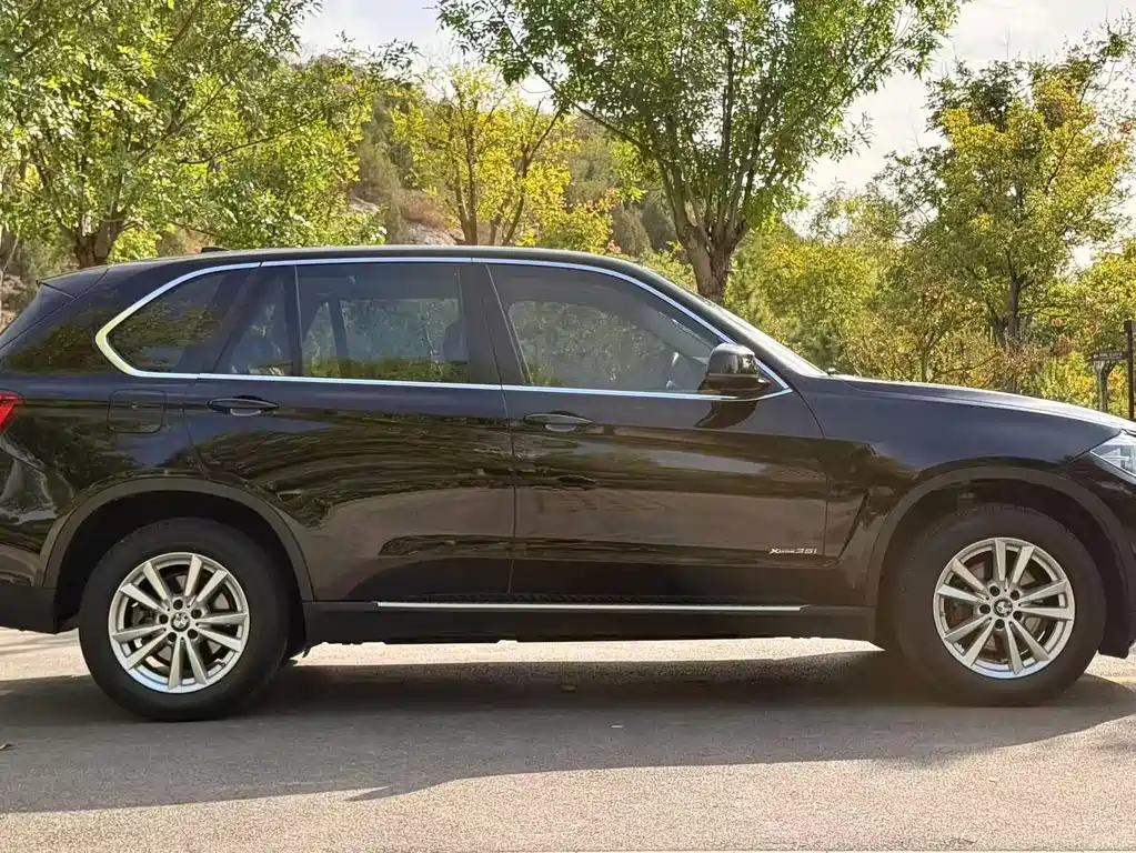 BMW X5 (Import) — миниатюра 6