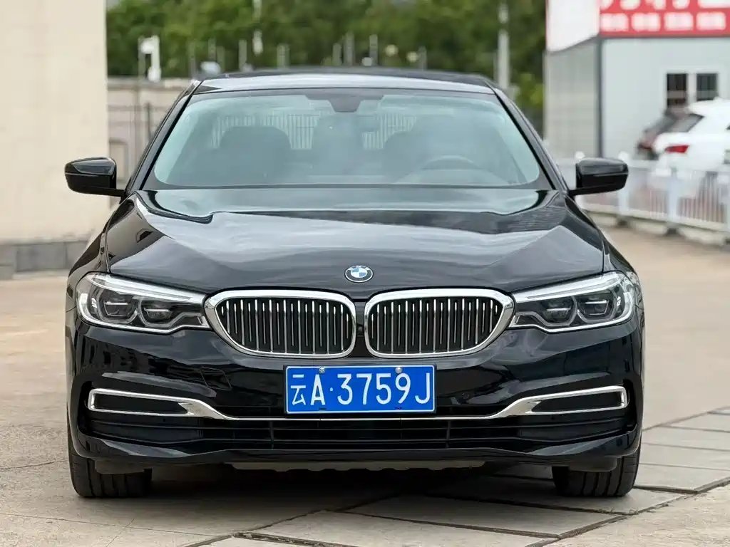 BMW 5 Series 5 2020 530Li Premium Luxury