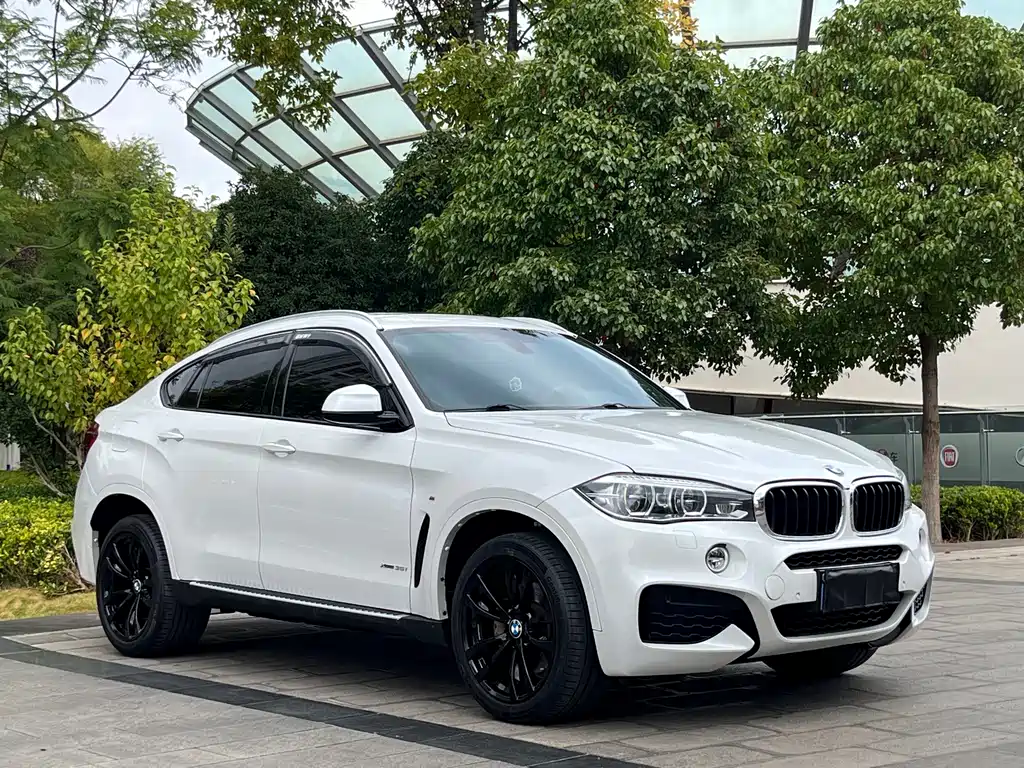 BMW X6 — миниатюра 3