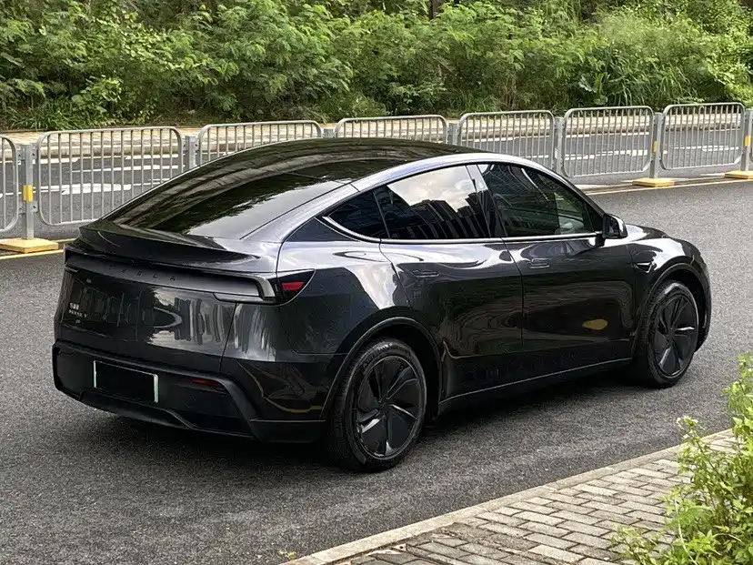 Tesla Model Y — миниатюра 4
