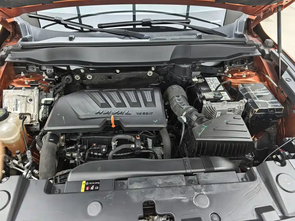 Haval 长城大狗 — миниатюра 19