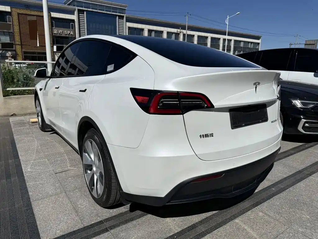 Tesla Model Y — миниатюра 9