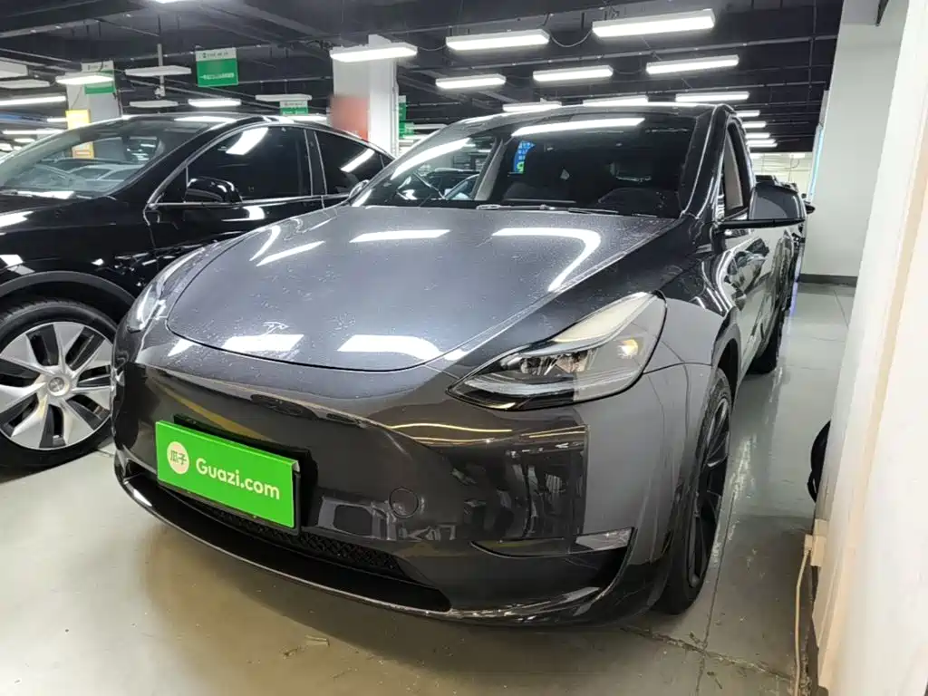 Tesla Model Y — миниатюра 2
