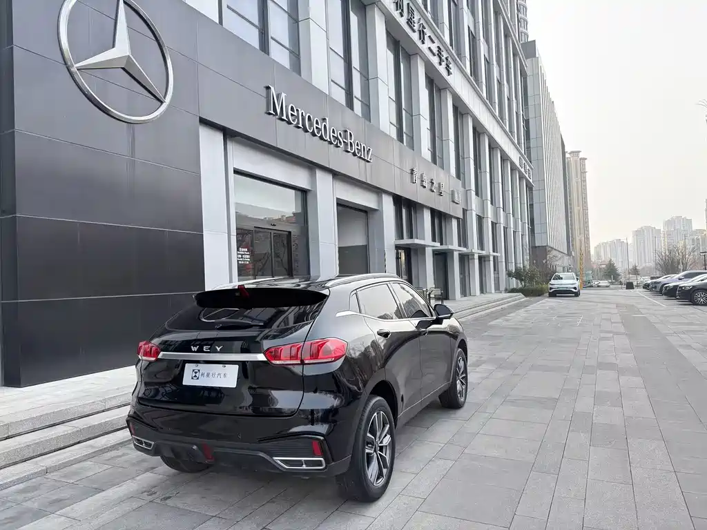 WEI PAI WEI BRAND VV5