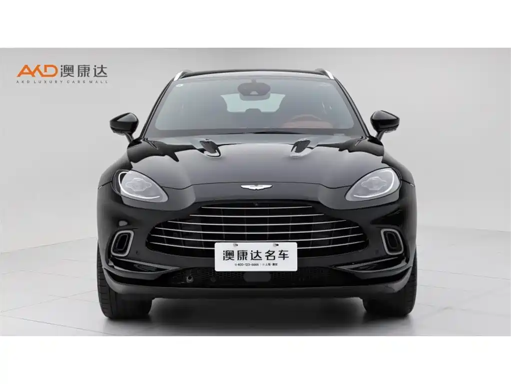 Aston Martin DBX — миниатюра 2