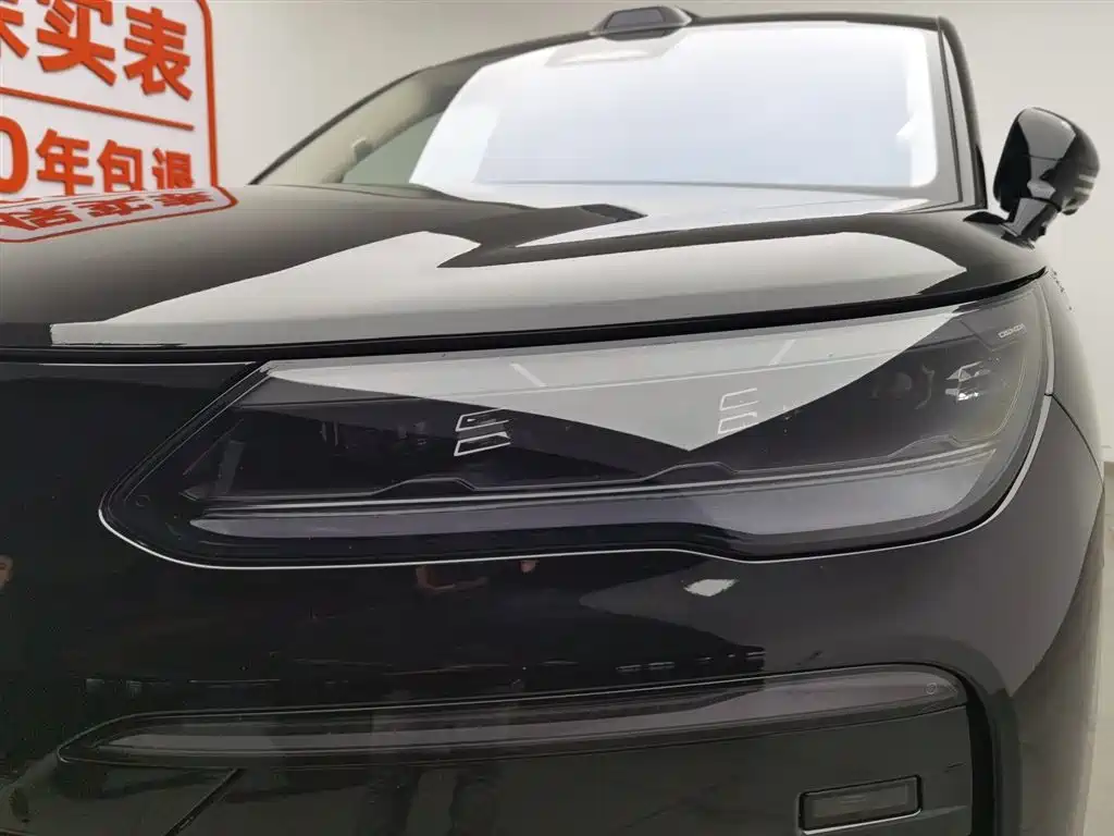 Denza N9