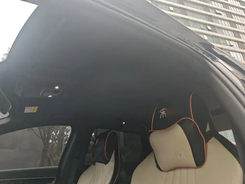 BYD PLUS New Energy — миниатюра 19