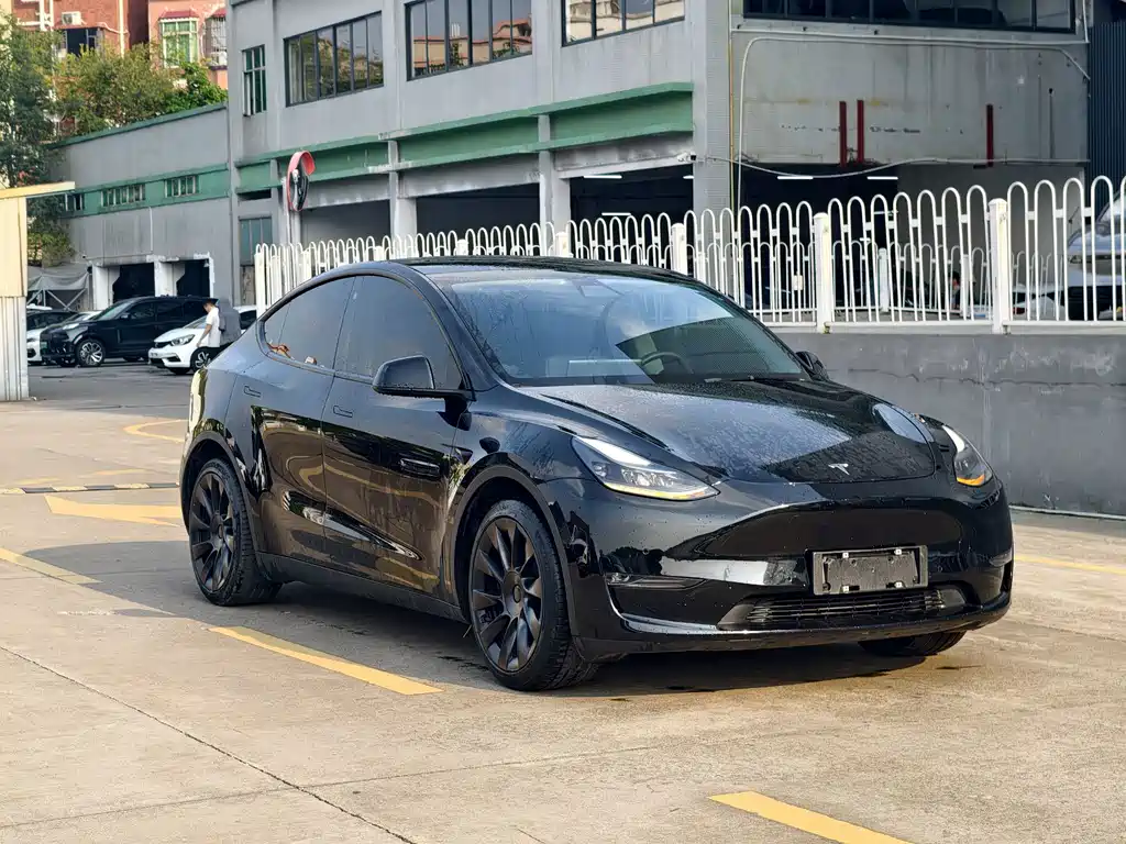 Tesla Model Y — миниатюра 3