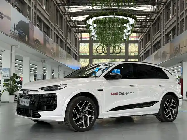 Audi Q6L