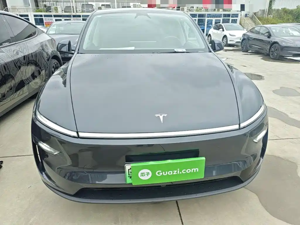 Tesla Model Y — миниатюра 3