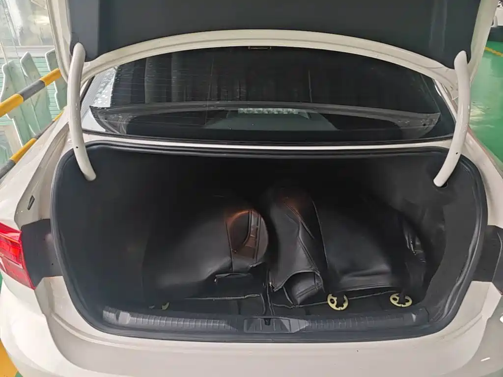Volkswagen Lamando — миниатюра 19