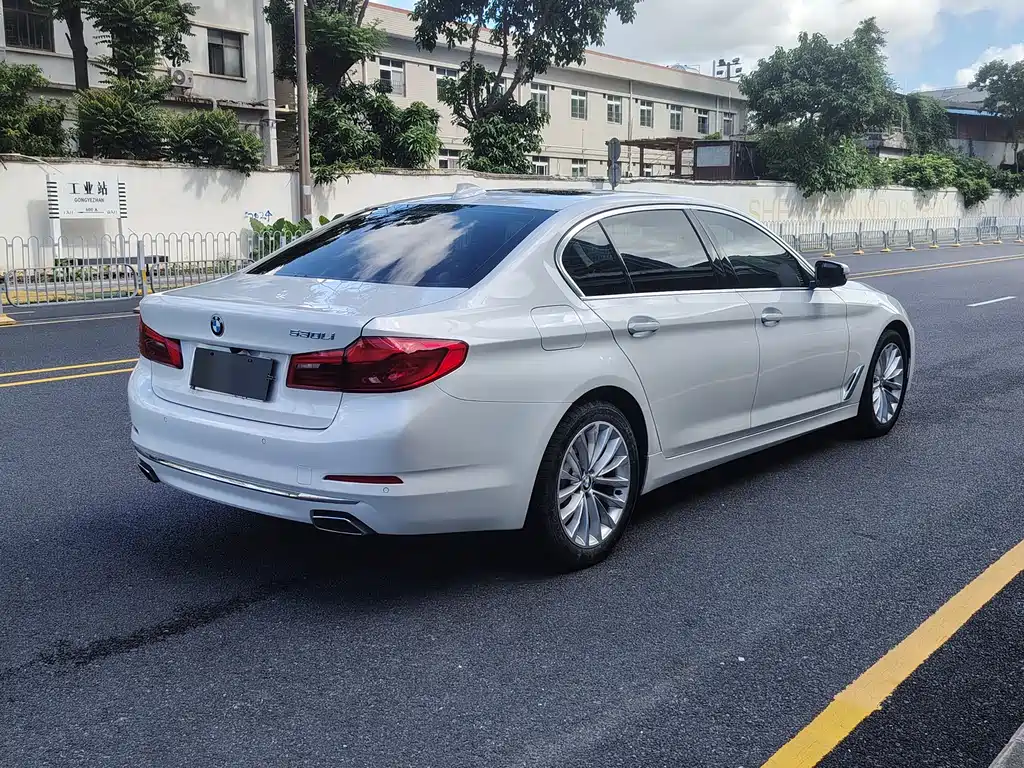 BMW 5 Series 5 2019 530Li Lead Luxury