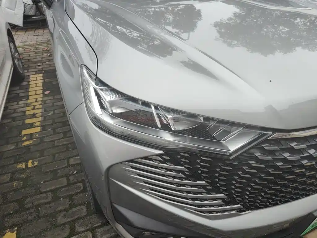 Haval H6 New Energy DHT-PHEV 110KM Joy Travel Edition, фото 7