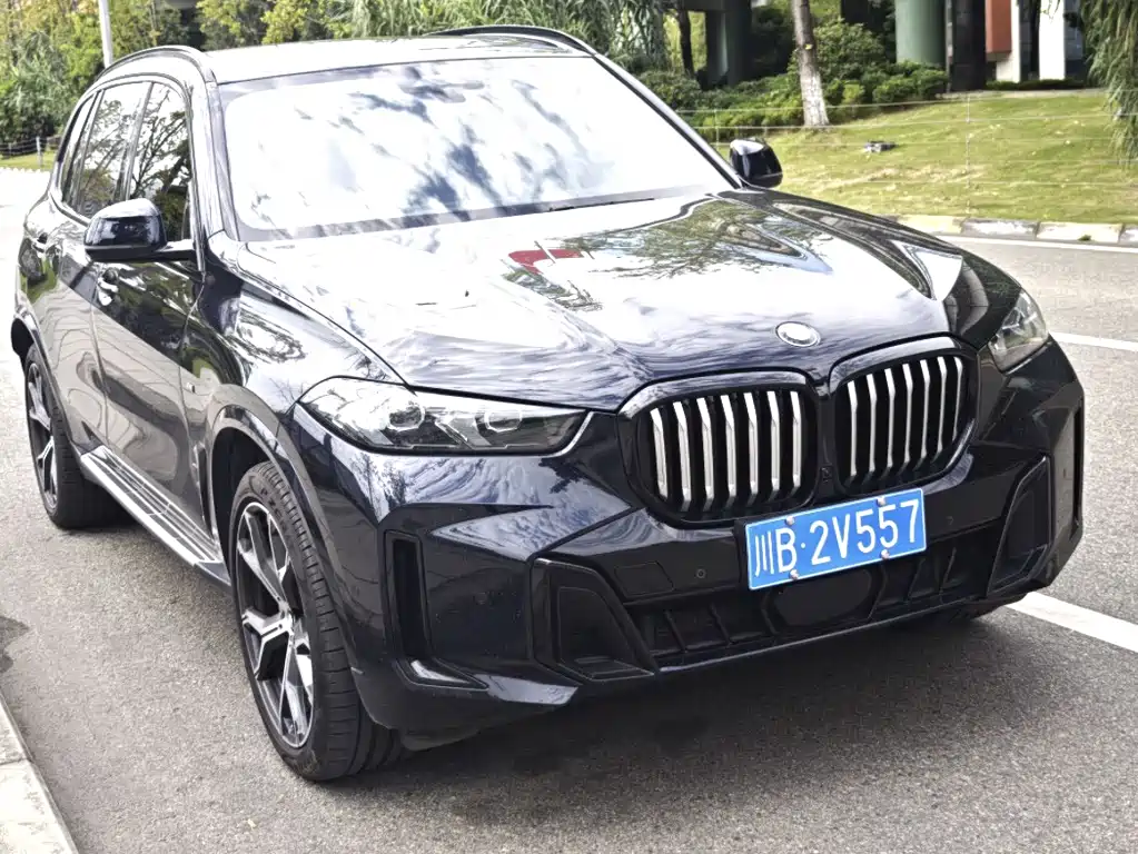 BMW X5 — миниатюра 3