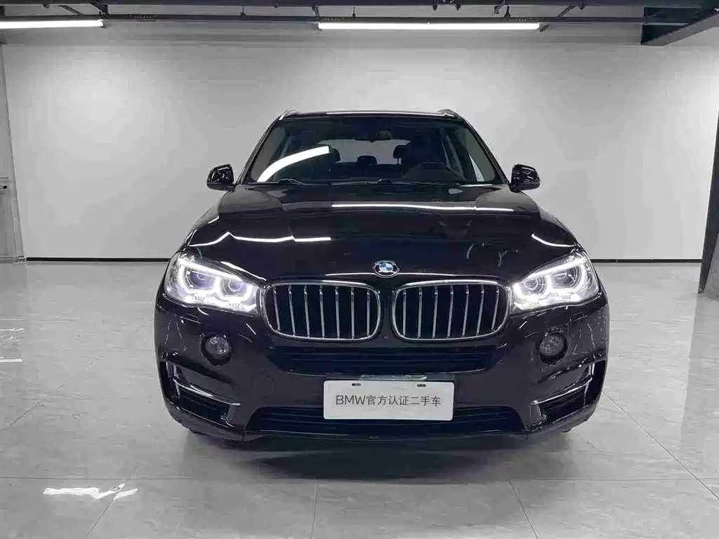 BMW X5 (Import) — миниатюра 2