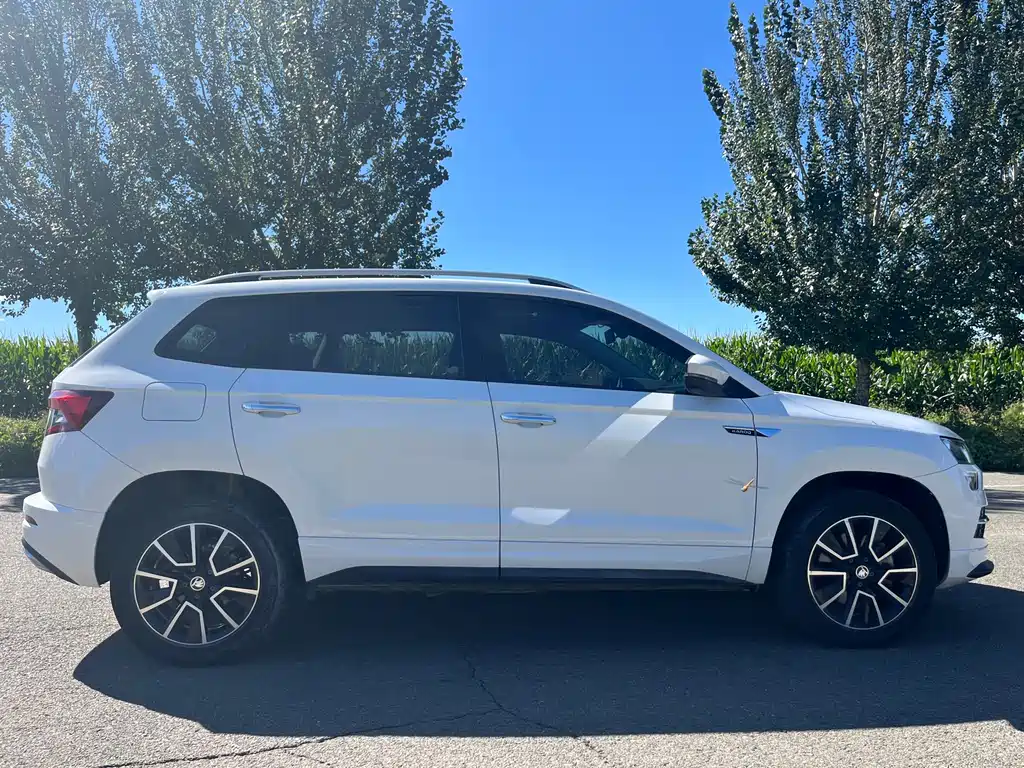 Skoda Karoq — миниатюра 8