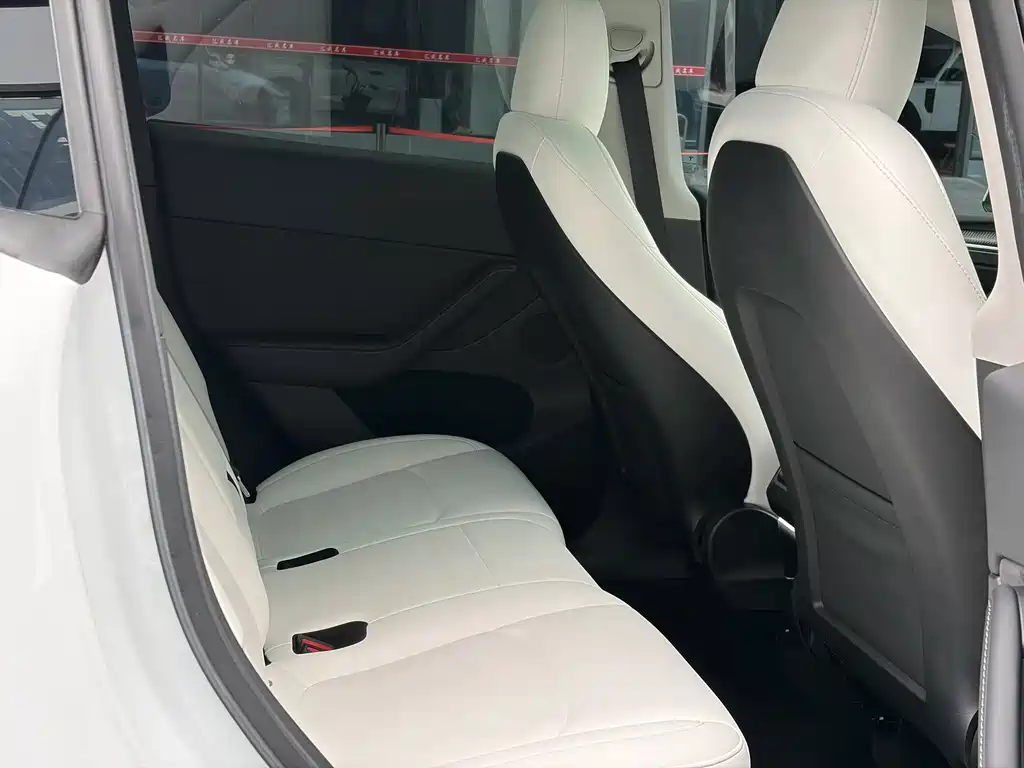 Tesla Model Y — миниатюра 6