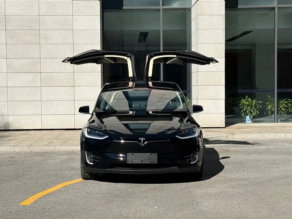 Tesla Model X — миниатюра 3