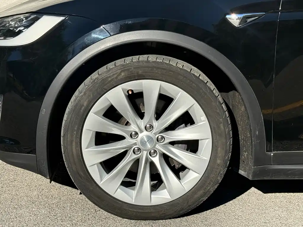 Tesla Model X — миниатюра 6