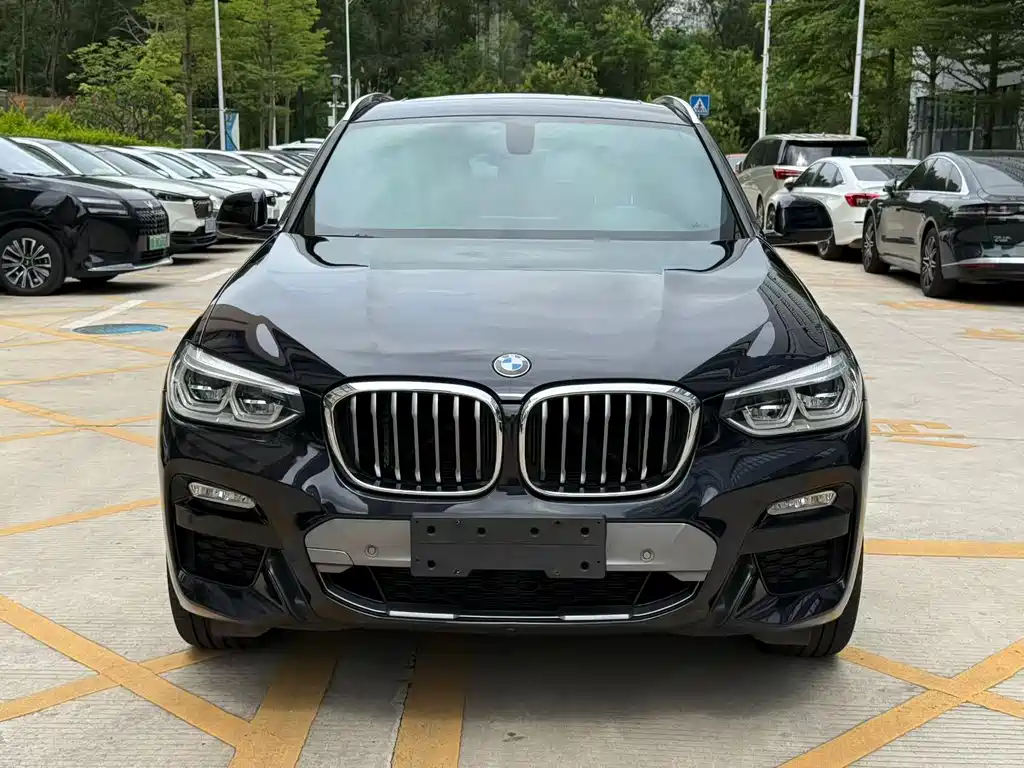 BMW X4 2021 xDrive 25i M Sport