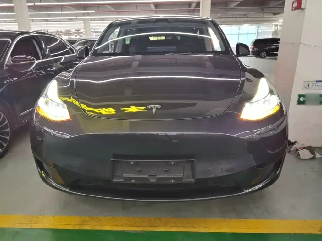 Tesla Model Y — миниатюра 3