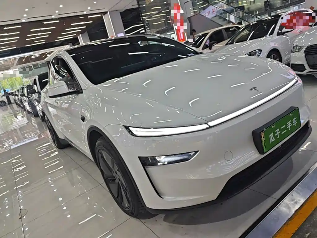 Tesla Model Y — миниатюра 4