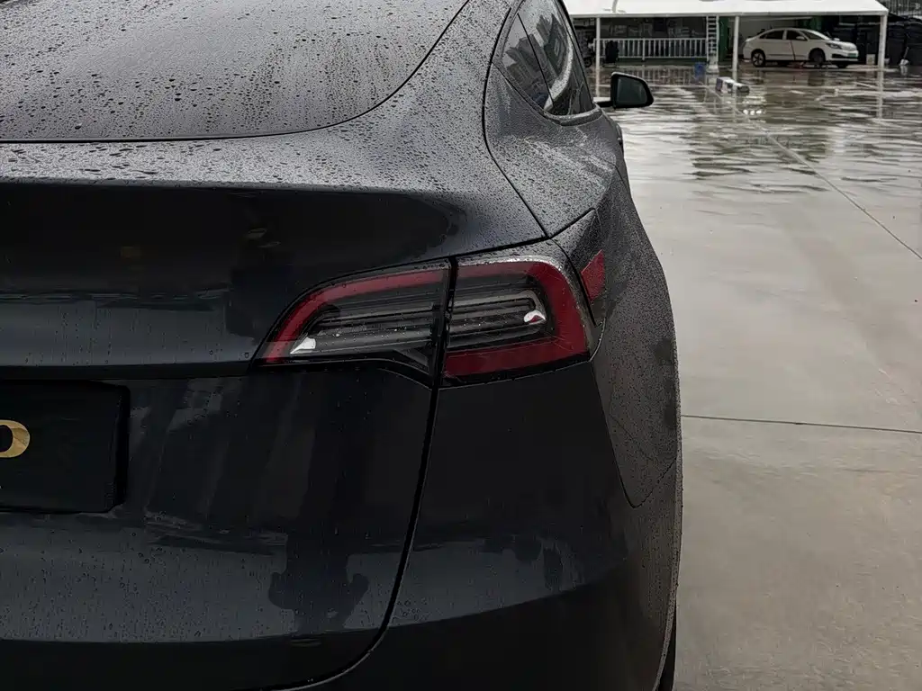 Tesla Model Y — миниатюра 5