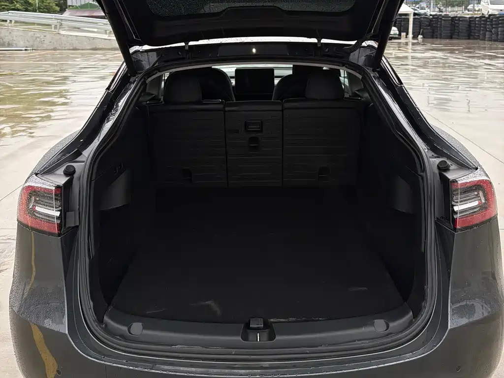 Tesla Model Y — миниатюра 10